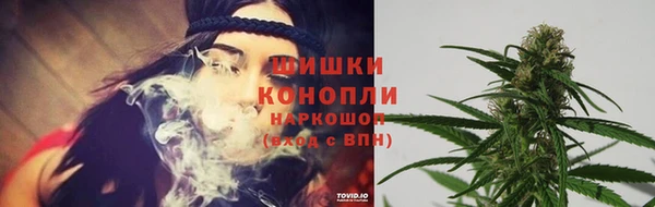 тгк Лиски